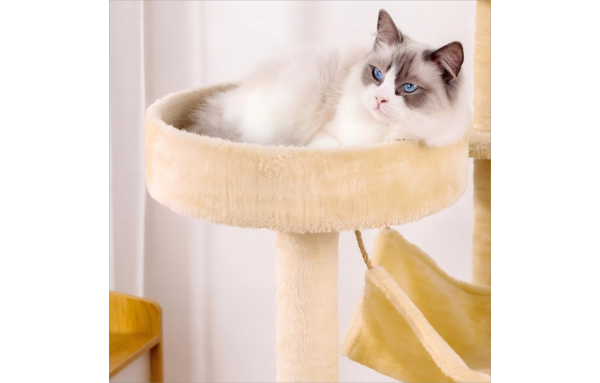 Beżowy Drapak dla kota