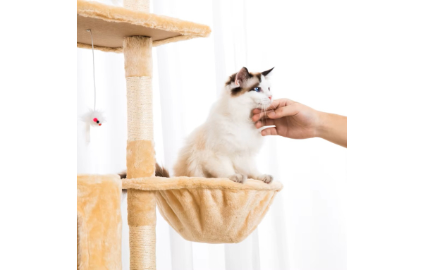 Drapak dla kota duży słupek beżowy 5 poziomów - domek, legowisko, zabawki