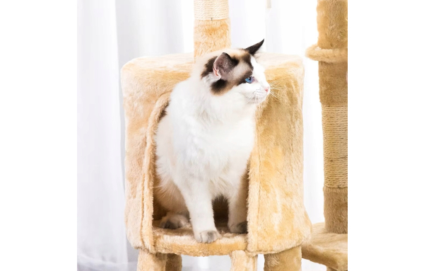 Drapak dla kota duży słupek beżowy 5 poziomów - domek, legowisko, zabawki