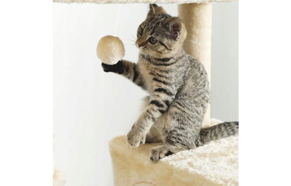 Drapak dla kota słupek beż 5 poziomów - domek, legowisko, hamak, drabinka