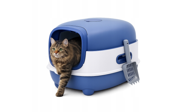 Niebieska Kuweta dla kota