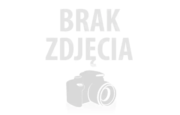 Palenisko ze szczotką do czyszczenia